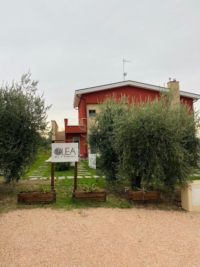 Olea B&B Montecosaro  Экстерьер фото